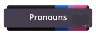 Pronouns Panel from Bisexual Pride Panel Theme.